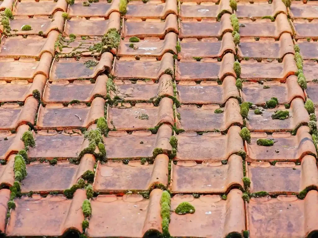 Commercial-Roofing-3
